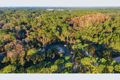 201 Plumosa Drive, Georgetown, FL 32139 - Photo 5