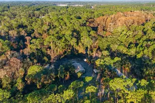 201 Plumosa Dr, Georgetown, FL 32139 - Photo 5