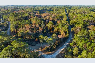 201 Plumosa Drive, Georgetown, FL 32139 - Photo 39