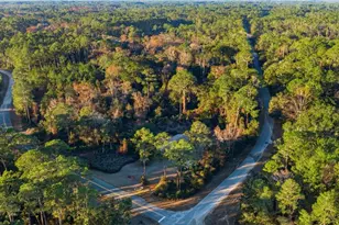 201 Plumosa Dr, Georgetown, FL 32139 - Photo 39