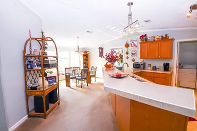 201 Plumosa Drive, Georgetown, FL 32139 - Photo 5