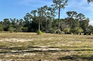 12714 State Road 33, Groveland, FL 34736 - Photo 5
