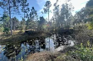 12714 State Road 33, Groveland, FL 34736 - Photo 7