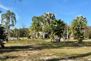 12714 State Road 33, Groveland, FL 34736 - Photo 3