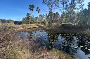 12714 State Road 33, Groveland, FL 34736 - Photo 9