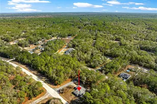 240 W Nova Pl, Citrus Springs, FL 34434 - Photo 53