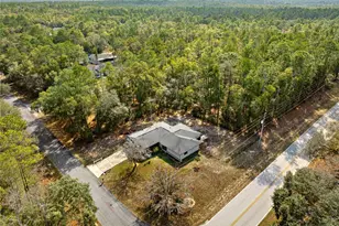 240 W Nova Pl, Citrus Springs, FL 34434 - Photo 51