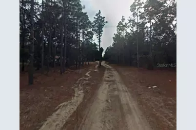 3858 S Osprey Point, Inverness, FL 34450 - Photo 3