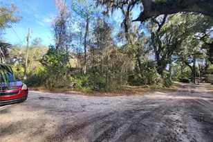 3865 NE 170th St, Citra, FL 32113 - Photo 1