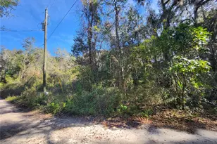 Tbd NE 164th Pl, Citra, FL 32113 - Photo 1