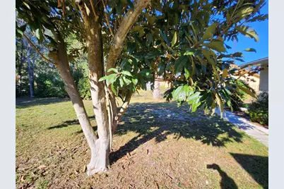 603 Bahia Circle, Ocala, FL 34472 - Photo 47