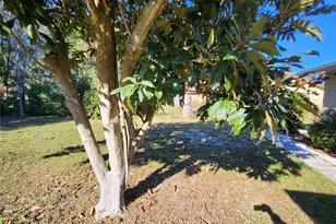 603 Bahia Cir, Ocala, FL 34472 - Photo 47