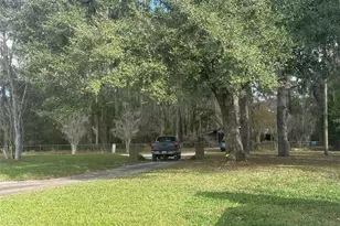 22380 NE 112th Terrace, Fort Mc Coy, FL 32134 - Photo 3