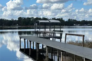 22380 NE 112th Terrace, Fort Mc Coy, FL 32134 - Photo 7