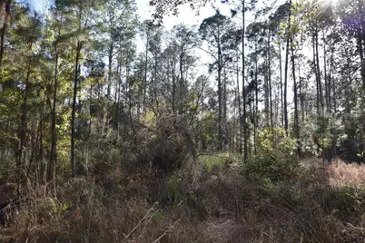 150 Caravelle Farms Road, Palatka, FL 32177 - Photo 39