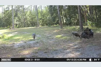 150 Caravelle Farms Road, Palatka, FL 32177 - Photo 11