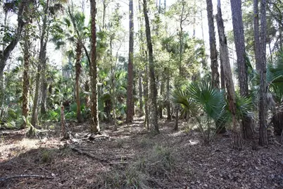 150 Caravelle Farms Road, Palatka, FL 32177 - Photo 27