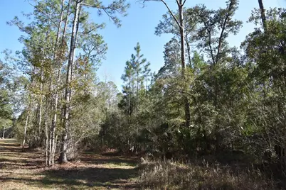 150 Caravelle Farms Road, Palatka, FL 32177 - Photo 31