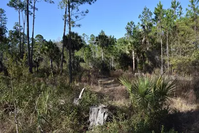 150 Caravelle Farms Road, Palatka, FL 32177 - Photo 45