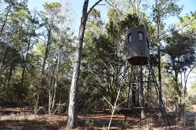 150 Caravelle Farms Road, Palatka, FL 32177 - Photo 19