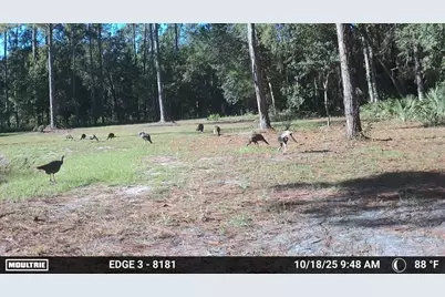150 Caravelle Farms Road, Palatka, FL 32177 - Photo 13