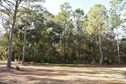 150 Caravelle Farms Road, Palatka, FL 32177 - Photo 23