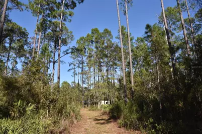 150 Caravelle Farms Road, Palatka, FL 32177 - Photo 49