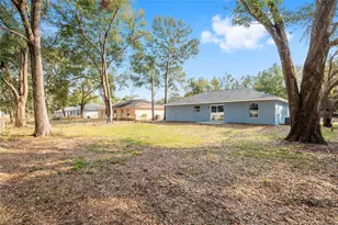 1969 SW 150th Ct, Ocala, FL 34481 - Photo 51