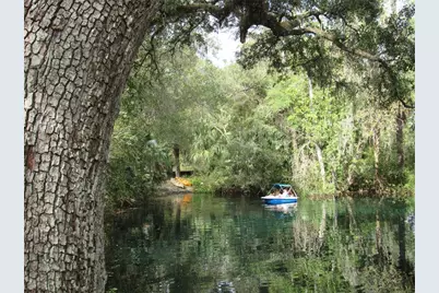 18956 SW 93rd Loop, Dunnellon, FL 34432 - Photo 61