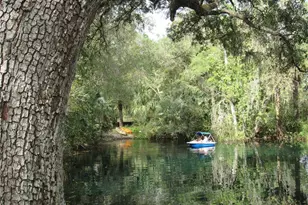 18956 SW 93rd Loop, Dunnellon, FL 34432 - Photo 61