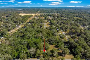 2917 NE 14th Ave, Ocala, FL 34479 - Photo 15