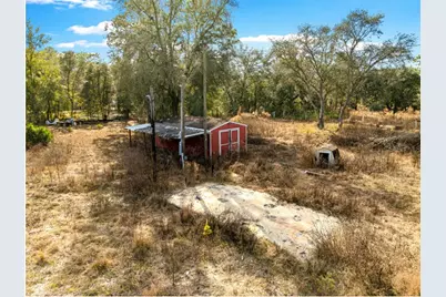 7270 NE 136th Ave, Williston, FL 32696 - Photo 3