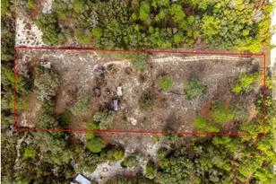 7270 NE 136 Ave, Williston, FL 32696 - Photo 1