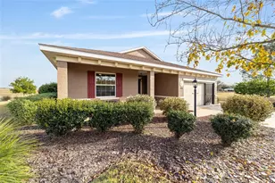 10009 SW 88th Loop, Ocala, FL 34481 - Photo 3