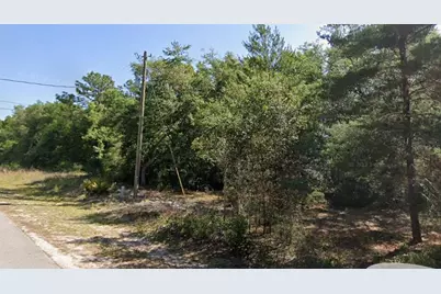 00 SW Driftwood Court, Dunnellon, FL 34431 - Photo 3