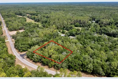 10233 N Athenia Drive, Citrus Springs, FL 34434 - Photo 3