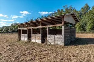 9032 NW 30th Ave, Ocala, FL 34475 - Photo 49