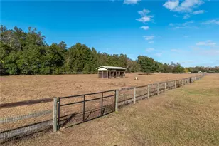 9032 NW 30th Ave, Ocala, FL 34475 - Photo 53