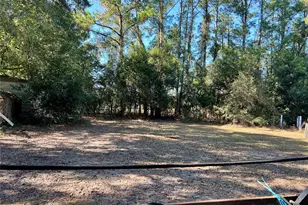 11820 NW Hwy 225, Reddick, FL 32686 - Photo 5