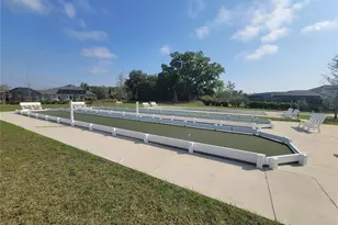 842 Spring Ave, The Villages, FL 34762 - Photo 47