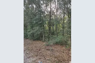 Ne 163rd Place, Citra, FL 32113 - Photo 1