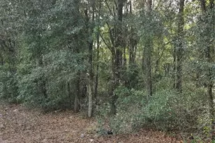 NE 163rd Pl, Citra, FL 32113 - Photo 1