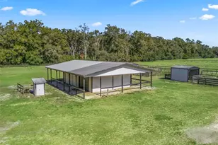 950 NE 200th Ave, Williston, FL 32696 - Photo 7