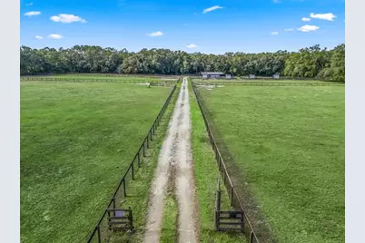 950 NE 200th Avenue, Williston, FL 32696 - Photo 3