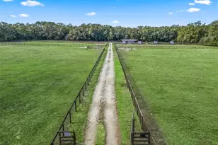 950 NE 200th Ave, Williston, FL 32696 - Photo 3