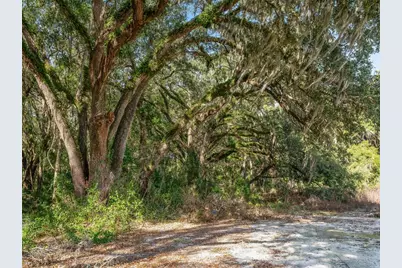 950 NE 200th Avenue, Williston, FL 32696 - Photo 27