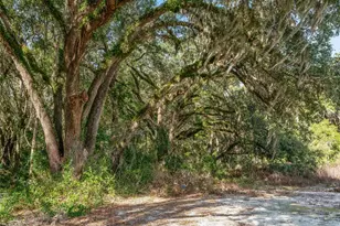 950 NE 200th Ave, Williston, FL 32696 - Photo 27