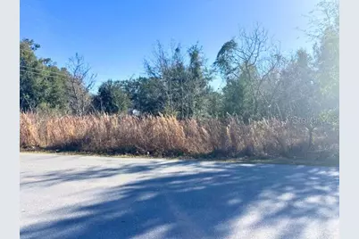 0000 NW 6th Place, Ocala, FL 34482 - Photo 3