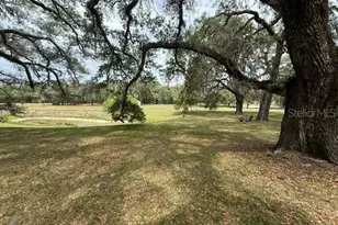 13787 SW 104 Ln, Dunnellon, FL 34432 - Photo 41