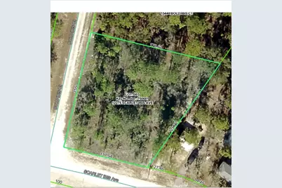 12275 Scarlet Ibis Avenue, Weeki Wachee, FL 34614 - Photo 21